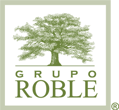 LOGOS-ROBLE--1